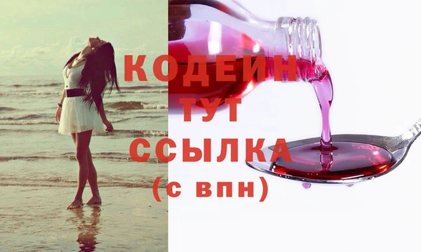 МДПВ Вяземский