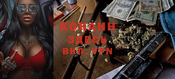 МДПВ Вяземский