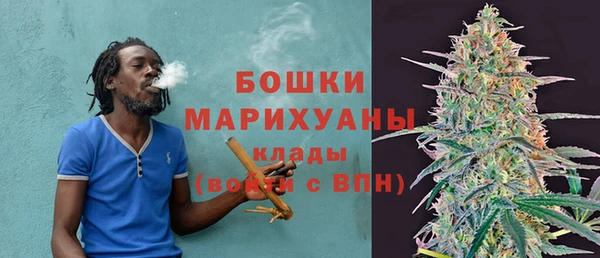 МДПВ Вяземский