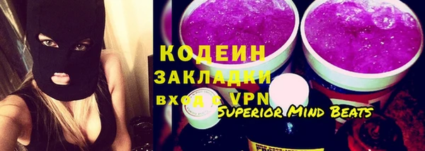 МДПВ Вяземский