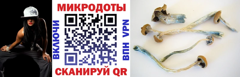ссылка на мегу tor  Иваново  Галлюциногенные грибы ЛСД 